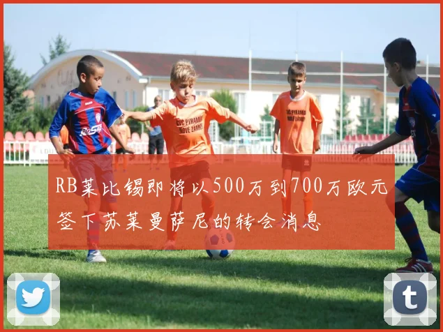 RB莱比锡即将以500万到700万欧元签下苏莱曼萨尼的转会消息