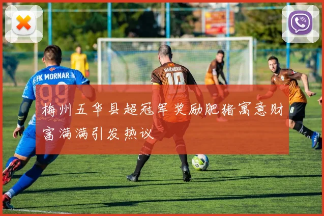 梅州五华县超冠军奖励肥猪寓意财富满满引发热议