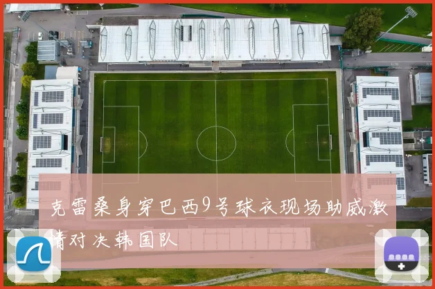 克雷桑身穿巴西9号球衣现场助威激情对决韩国队