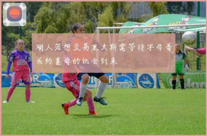 湖人若想交易里夫斯需等待字母哥或约基奇的机会到来
